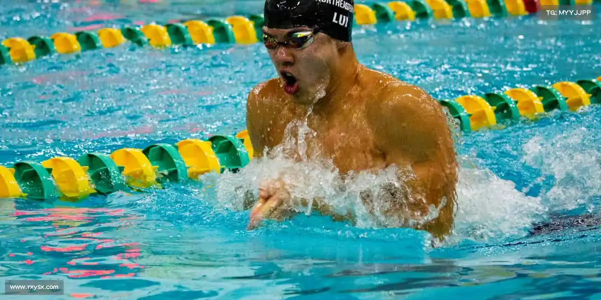 <strong>9.1樱花PPt网站免费观看入口</strong>用光影编织时光絮语，每帧画面都承载你我共鸣的温度✨